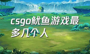 csgo鱿鱼游戏最多几个人