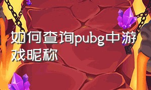 如何查询pubg中游戏昵称