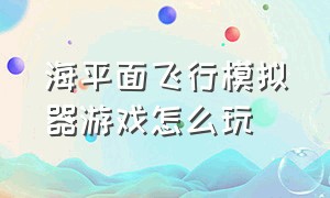 海平面飞行模拟器游戏怎么玩