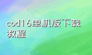 cod16单机版下载教程