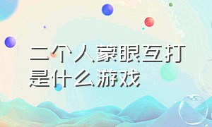 二个人蒙眼互打是什么游戏