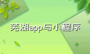 芜湖app与小程序