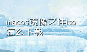 macos镜像文件iso怎么下载