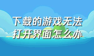 下载的游戏无法打开界面怎么办