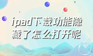 ipad下载功能隐藏了怎么打开呢