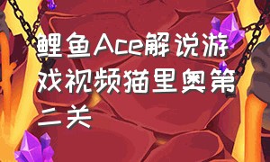 鲤鱼Ace解说游戏视频猫里奥第二关