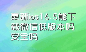 更新ios16.5能下载微信低版本吗安全吗