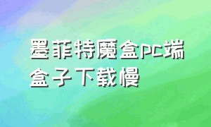 墨菲特魔盒pc端盒子下载慢