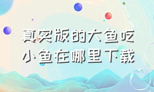 真实版的大鱼吃小鱼在哪里下载