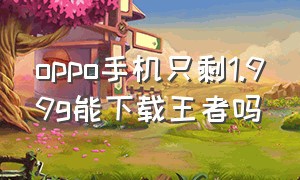 oppo手机只剩1.99g能下载王者吗