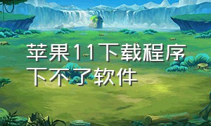 苹果11下载程序下不了软件