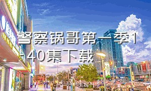 警察锅哥第一季1-40集下载