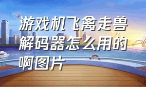 游戏机飞禽走兽解码器怎么用的啊图片