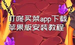 叮咚买菜app下载苹果版安装教程