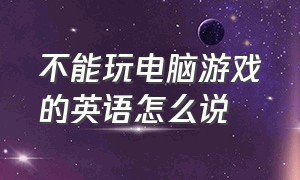 不能玩电脑游戏的英语怎么说