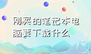 刚买的笔记本电脑要下载什么