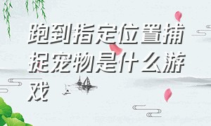 跑到指定位置捕捉宠物是什么游戏