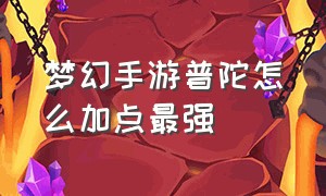 梦幻手游普陀怎么加点最强