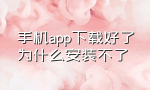 手机app下载好了为什么安装不了