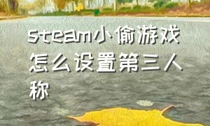 steam小偷游戏怎么设置第三人称