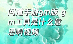 问道手游gm版 gm工具是什么意思啊视频