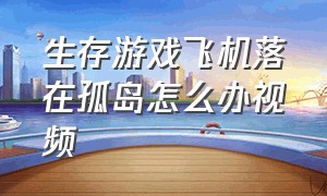 生存游戏飞机落在孤岛怎么办视频