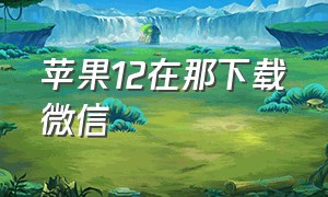 苹果12在那下载微信