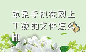 苹果手机在网上下载的文件怎么删