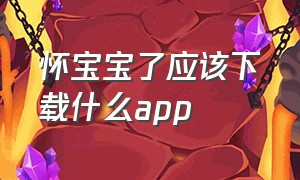 怀宝宝了应该下载什么app