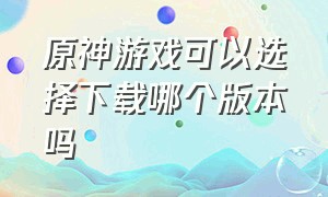 原神游戏可以选择下载哪个版本吗