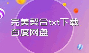 完美契合txt下载百度网盘