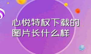 心悦特权下载的图片长什么样