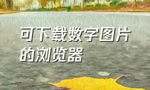 可下载数字图片的浏览器