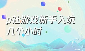 p社游戏新手入坑几个小时