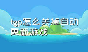 tgp怎么关掉自动更新游戏