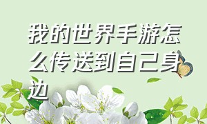 我的世界手游怎么传送到自己身边