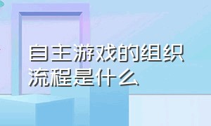 自主游戏的组织流程是什么