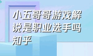 小五哥哥游戏解说是职业选手吗知乎