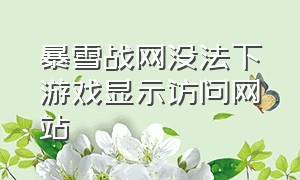 暴雪战网没法下游戏显示访问网站