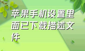 苹果手机设置里面已下载描述文件