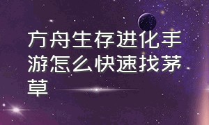 方舟生存进化手游怎么快速找茅草