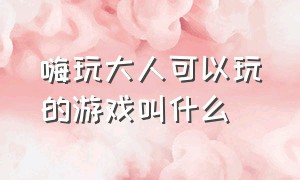 嗨玩大人可以玩的游戏叫什么