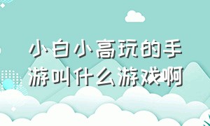 小白小高玩的手游叫什么游戏啊