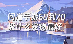 问道手游60到70级什么宠物最好