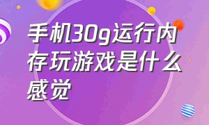 手机30g运行内存玩游戏是什么感觉