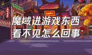 魔域进游戏东西看不见怎么回事