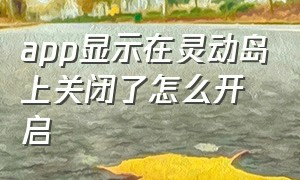 app显示在灵动岛上关闭了怎么开启