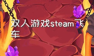 双人游戏steam飞车