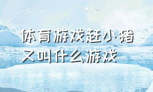 体育游戏赶小猪又叫什么游戏