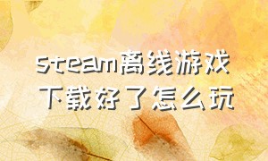 steam离线游戏下载好了怎么玩